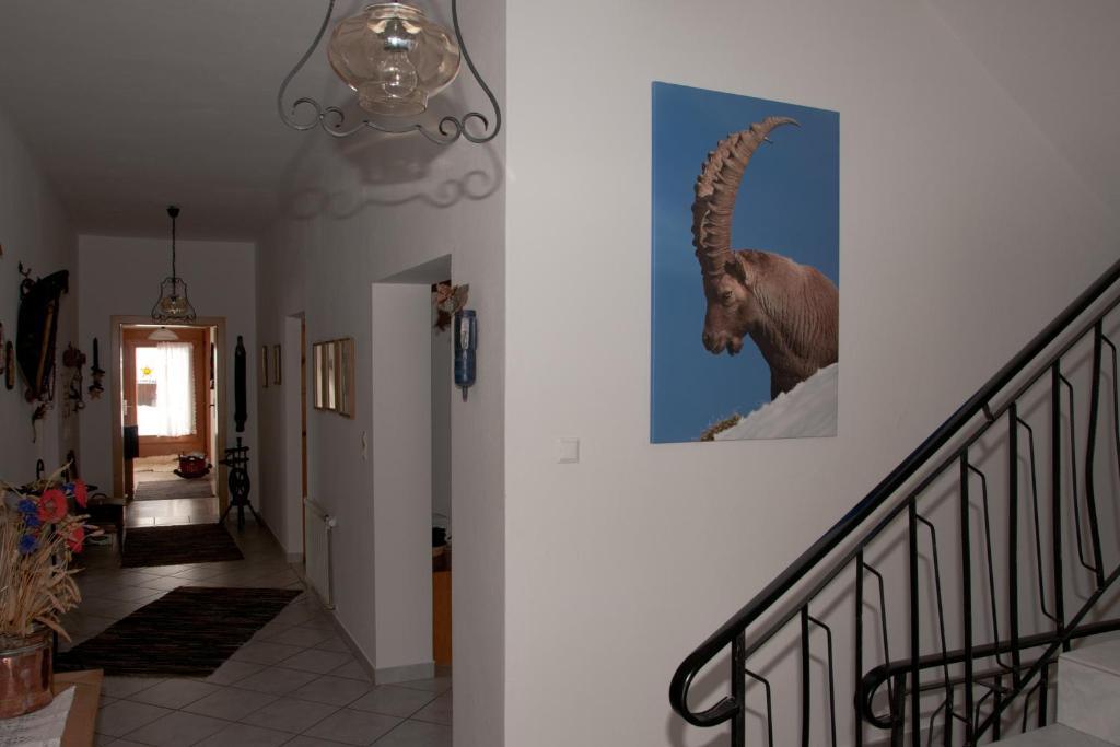Appartements Schmalzerhof Gries im Sellrain Buitenkant foto